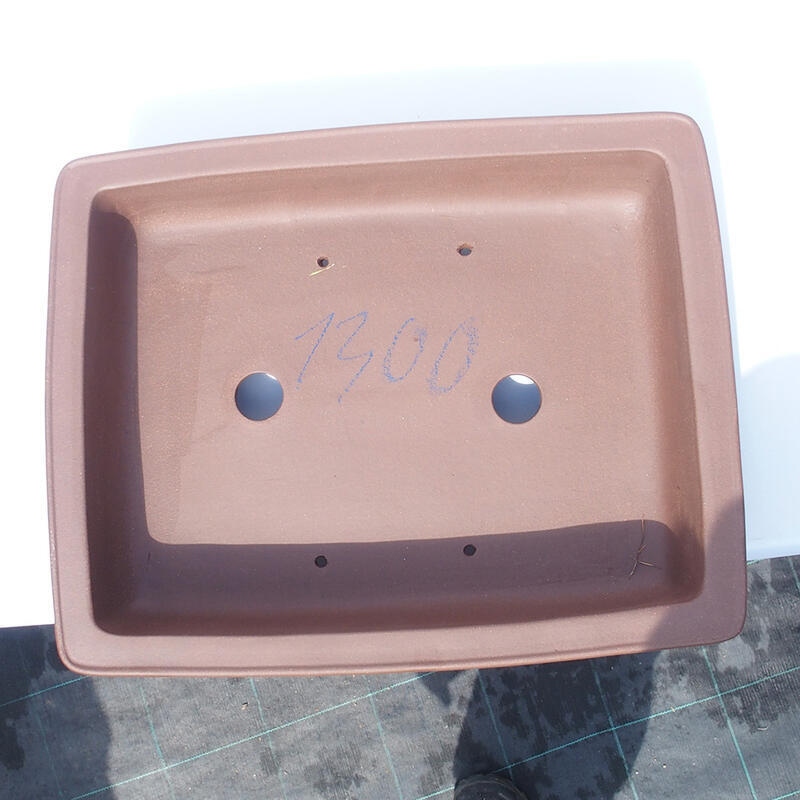 Ciotola bonsai 45 x 36 x 11 cm