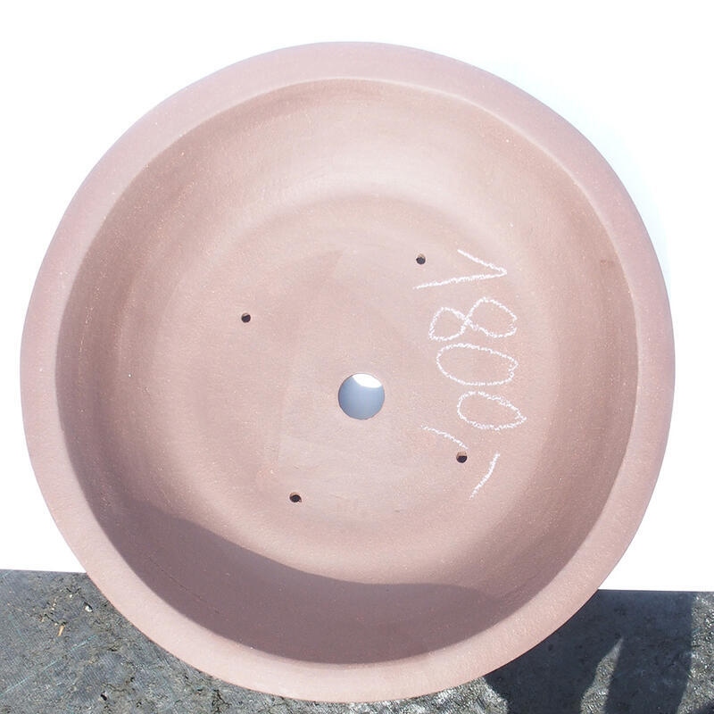 Ciotola bonsai 45 x 45 x 9 cm