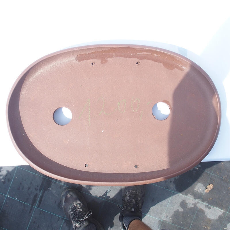 Ciotola bonsai 47 x 31 x 4 cm