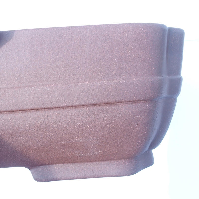 Ciotola bonsai 47 x 36 x 12 cm