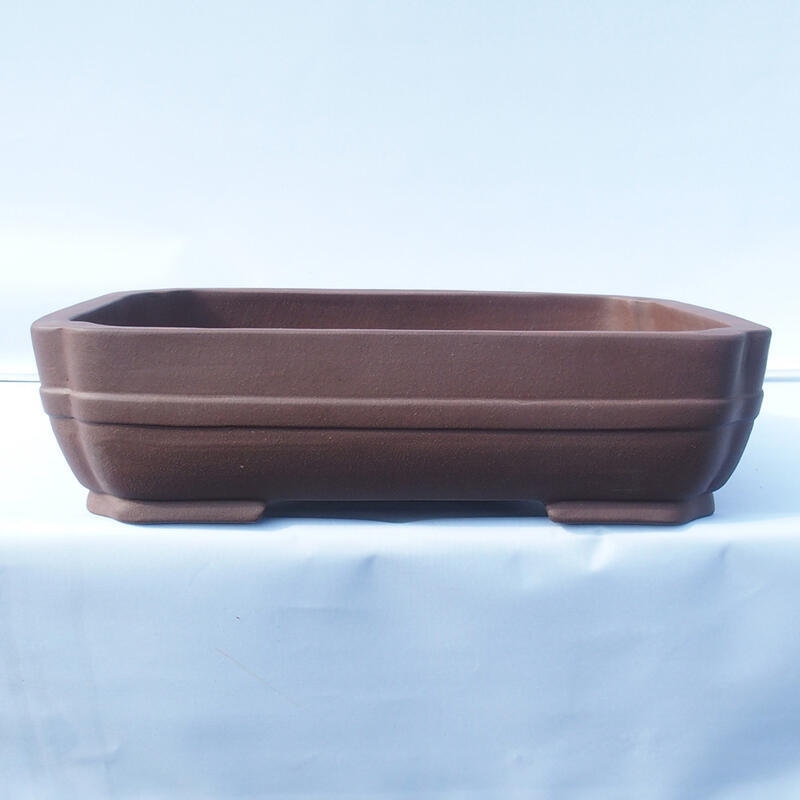 Ciotola bonsai 47 x 36 x 12 cm