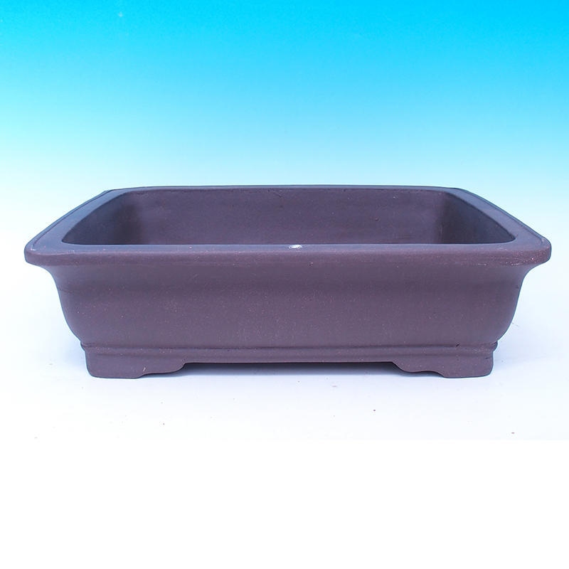 Ciotola bonsai 47 x 37 x 13 cm