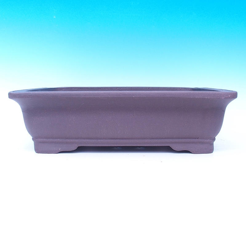 Ciotola bonsai 47 x 37 x 13 cm