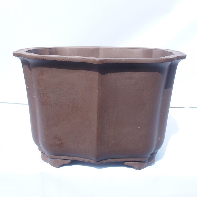 Ciotola bonsai 47 x 42 x 31 cm