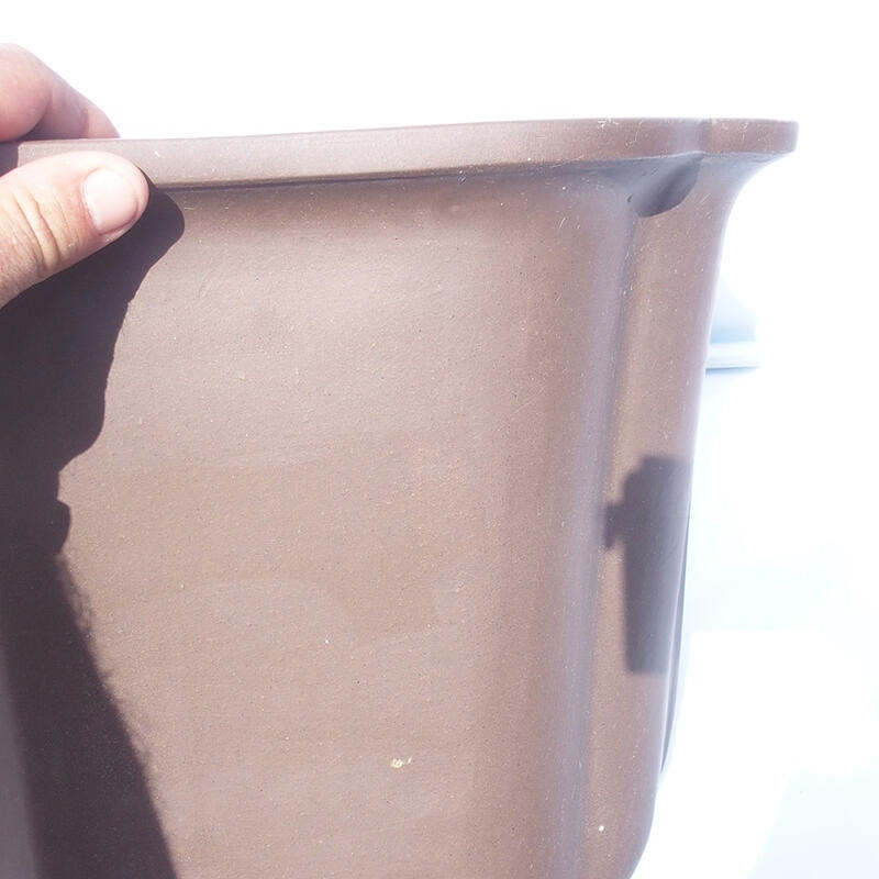 Ciotola bonsai 47 x 42 x 31 cm