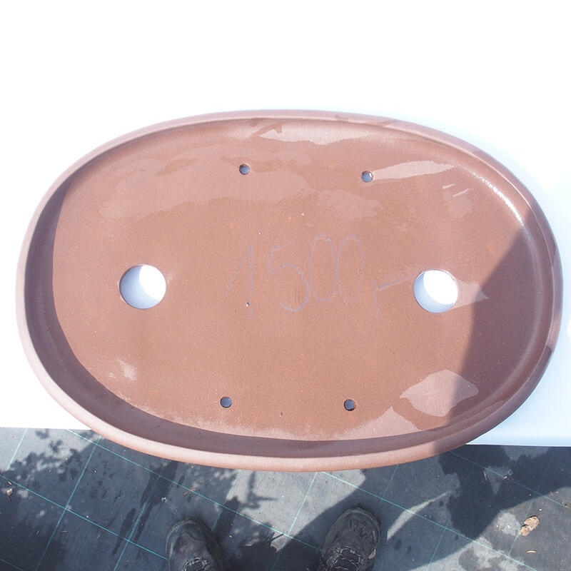 Ciotola bonsai 48 x 37 x 5 cm