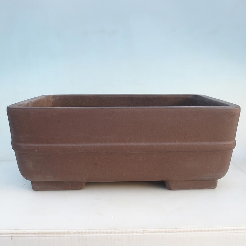 Ciotola per bonsai 50 x 35 x 19,5 cm, colore marrone - solo trasporto su pallet