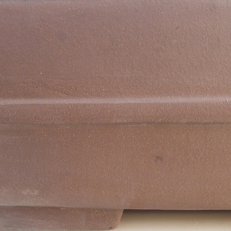 Ciotola per bonsai 50 x 35 x 19,5 cm, colore marrone - solo trasporto su pallet