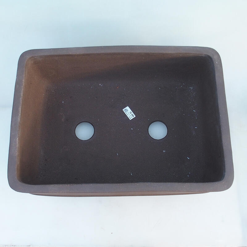 Ciotola per bonsai 50 x 35 x 19,5 cm, colore marrone - solo trasporto su pallet