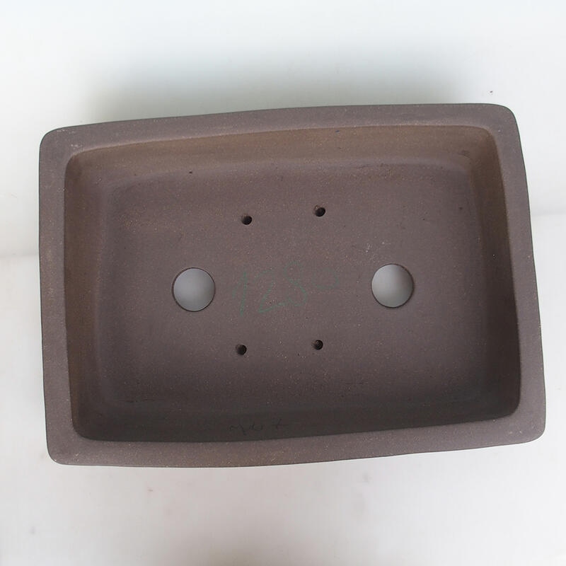 Ciotola per bonsai 50 x 36 x 10 cm, colore naturale