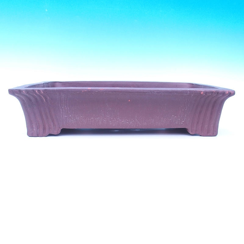 Ciotola bonsai 50 x 37 x 11 cm