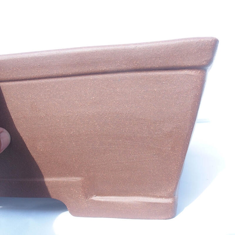 Ciotola bonsai 50 x 39 x 14 cm