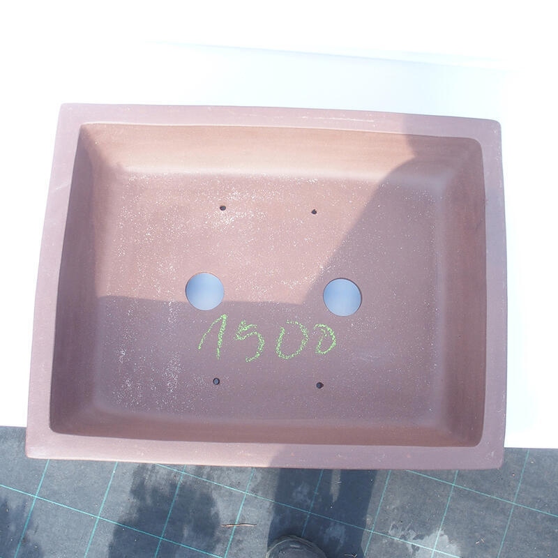 Ciotola bonsai 50 x 39 x 14 cm