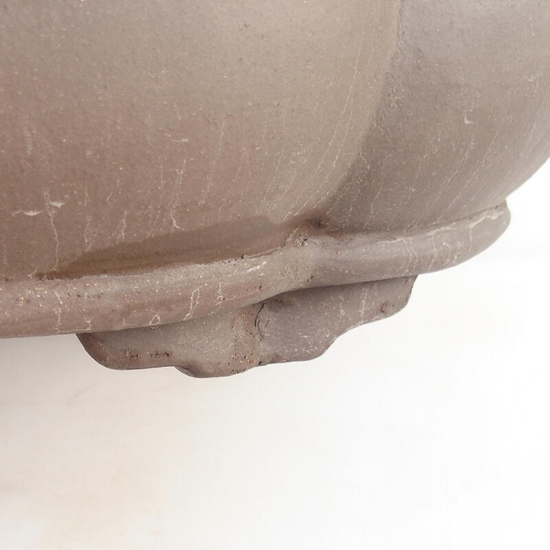 Ciotola bonsai 50 x 41 x 13 cm