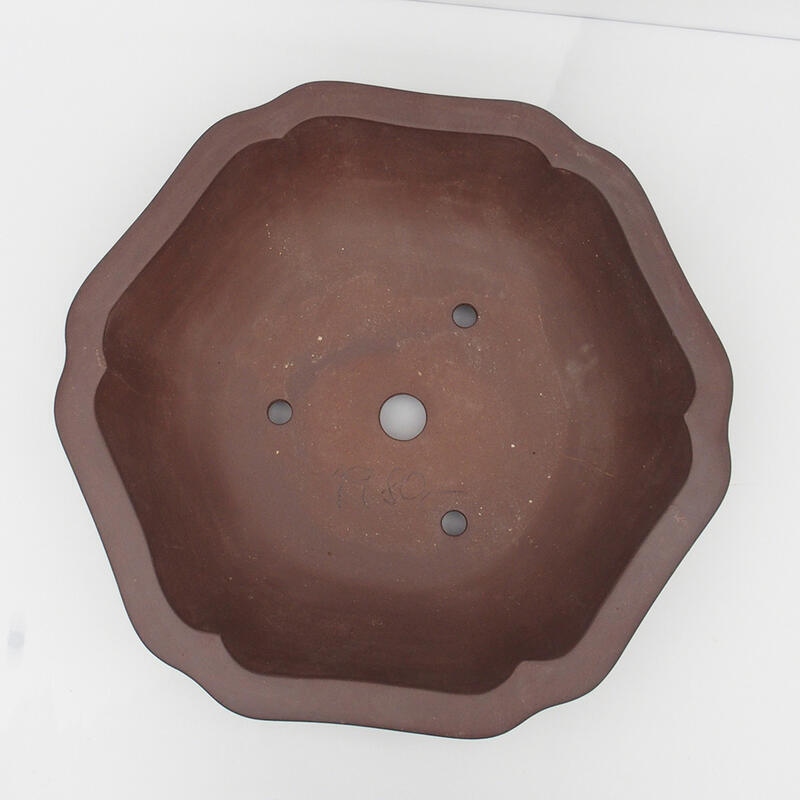 Ciotola bonsai 50 x 47 x 14 cm - Qualità giapponese