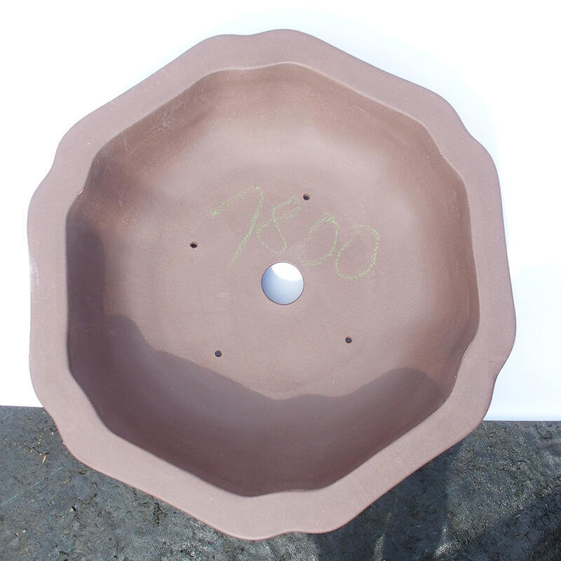 Ciotola per bonsai 50 x 50 x 14 cm