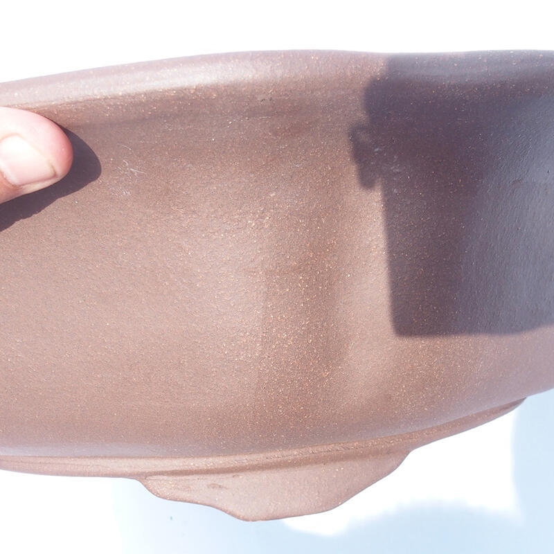 Ciotola per bonsai 50 x 50 x 14 cm