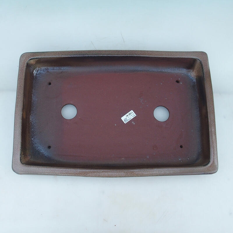 Ciotola per bonsai 51 x 33,5 x 8,5 cm, colore marrone - solo trasporto su pallet