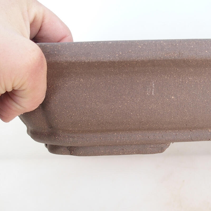 Ciotola per bonsai 51 x 33,5 x 8 cm, colore naturale