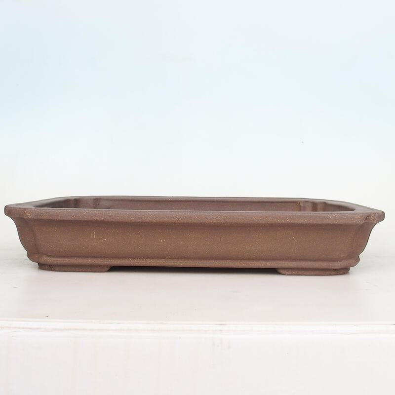 Ciotola per bonsai 51 x 33,5 x 8 cm, colore naturale