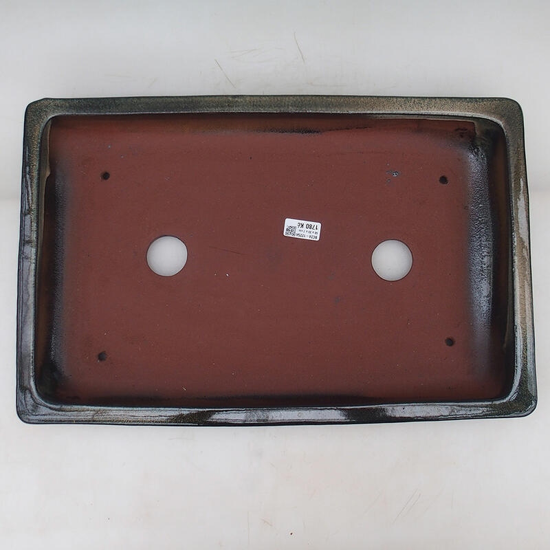 Ciotola per bonsai 51 x 33 x 8 cm, blu-verde - solo trasporto su pallet