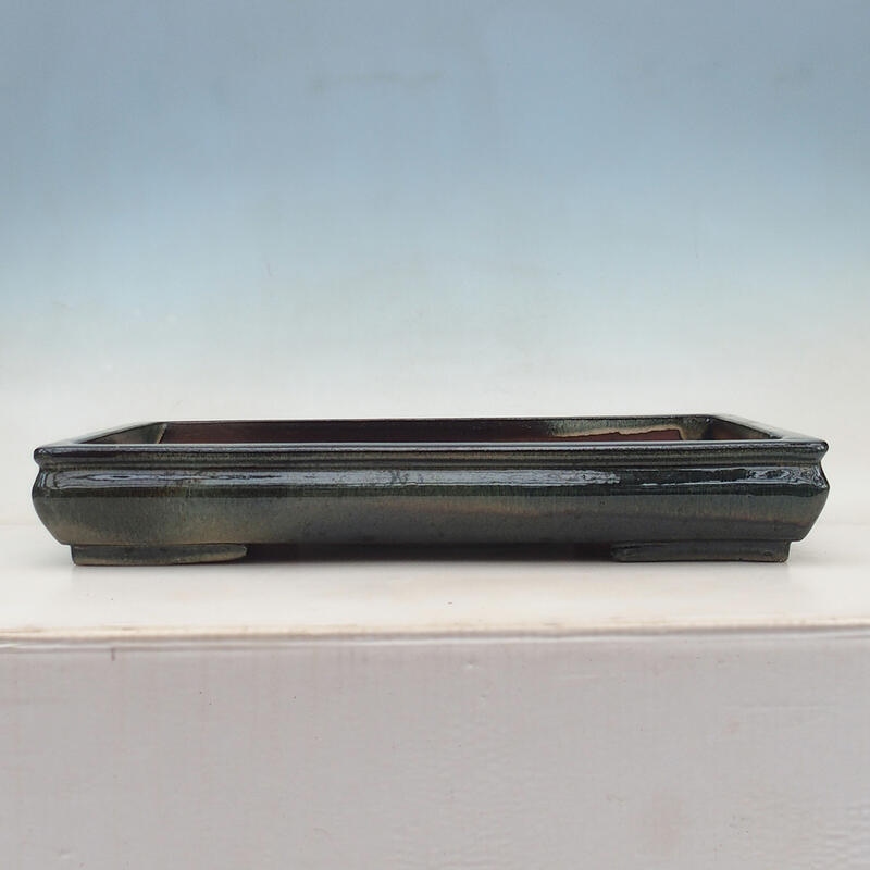 Ciotola per bonsai 51 x 33 x 8 cm, blu-verde - solo trasporto su pallet