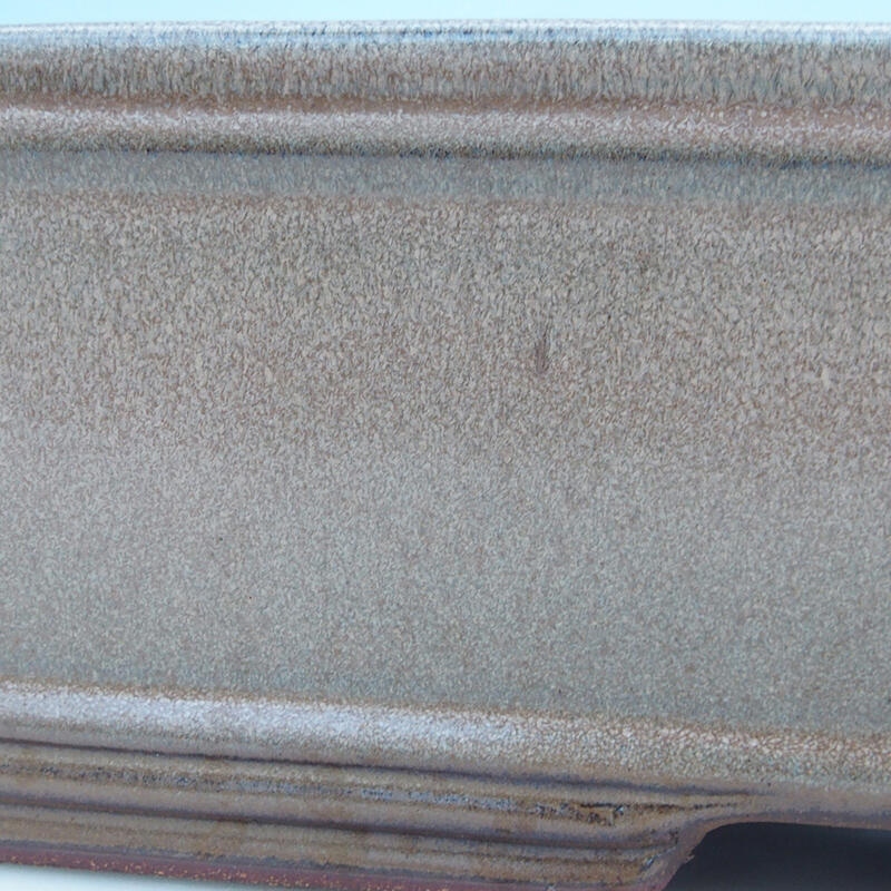 Ciotola per bonsai 51 x 34 x 10,5 cm, colore beige - solo trasporto su pallet