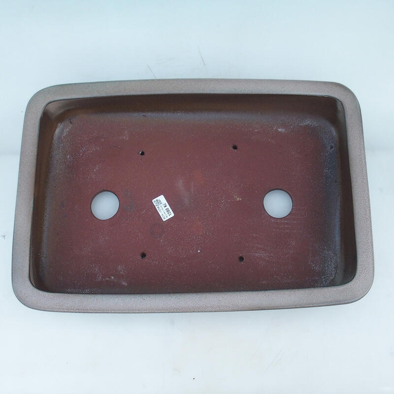 Ciotola per bonsai 51 x 34 x 10,5 cm, colore beige - solo trasporto su pallet