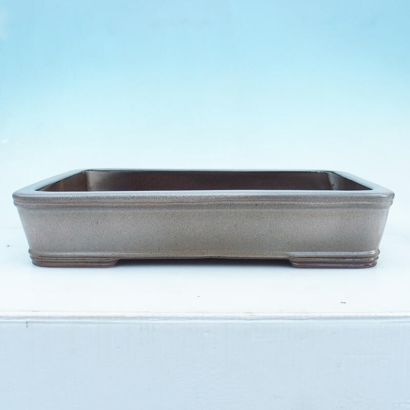 Ciotola per bonsai 51 x 34 x 10,5 cm, colore beige - solo trasporto su pallet