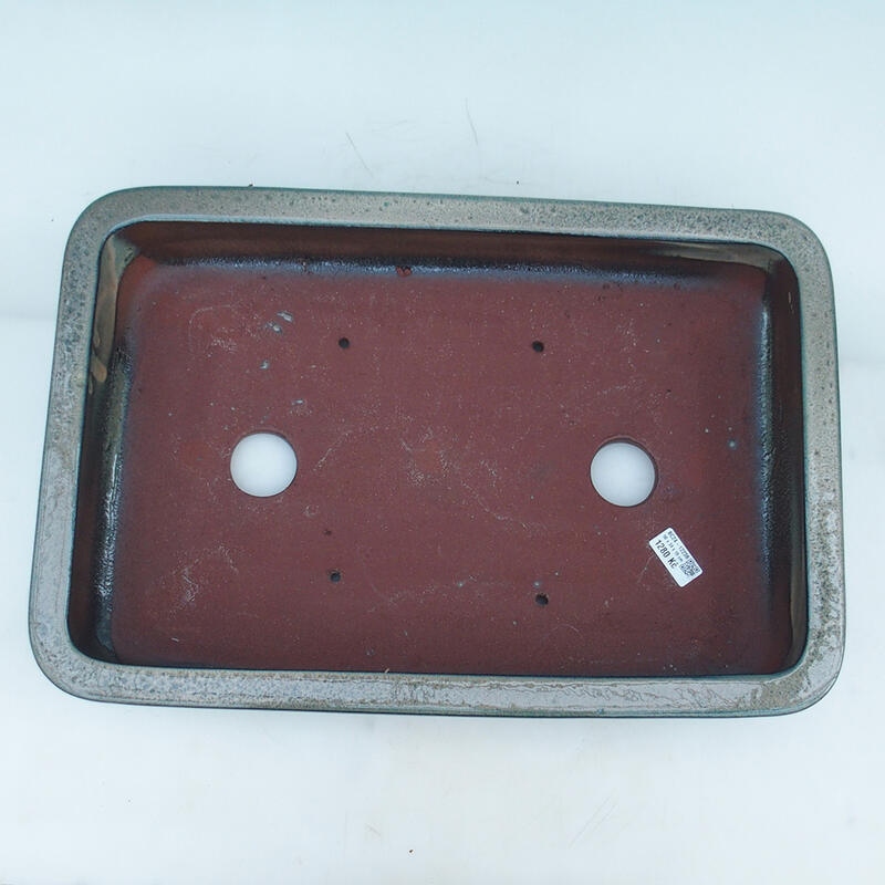 Ciotola per bonsai 51 x 34 x 10,5 cm, beige-verde - solo trasporto su pallet