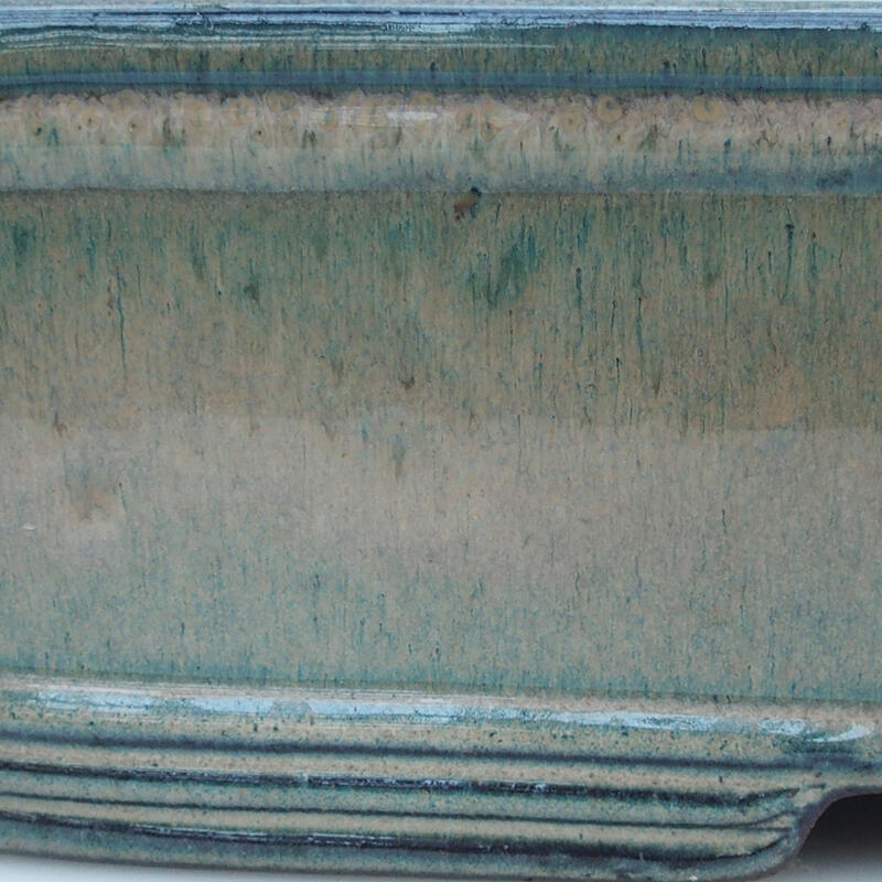 Ciotola per bonsai 51 x 34 x 10,5 cm, beige-verde - solo trasporto su pallet