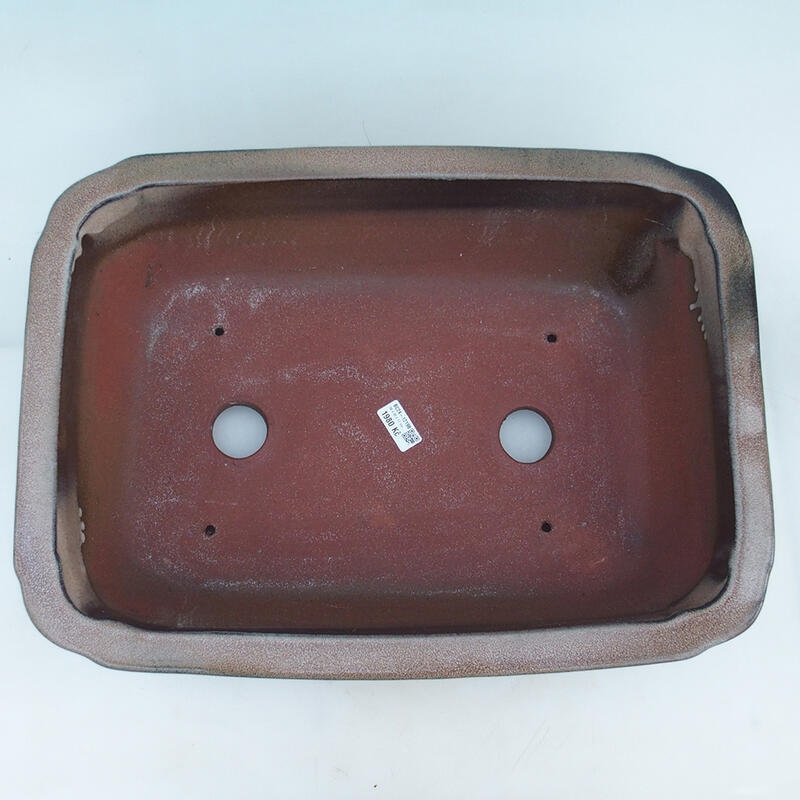 Ciotola per bonsai 51 x 35,5 x 16 cm, colore marrone - solo trasporto su pallet