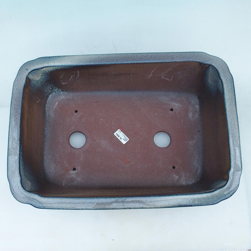 Ciotola per bonsai 51 x 35,5 x 16 cm, colore blu-beige - solo trasporto su pallet