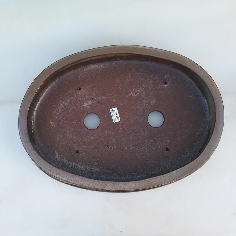 Ciotola per bonsai 51 x 36,5 x 10 cm, colore marrone - solo trasporto su pallet