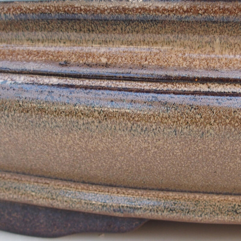 Ciotola per bonsai 51 x 36,5 x 10 cm, colore marrone - solo trasporto su pallet