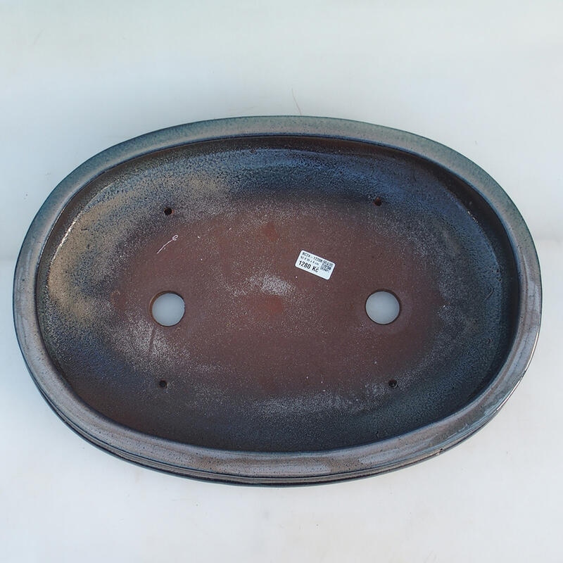 Ciotola per bonsai 51 x 36,5 x 10 cm, colore blu-beige - solo trasporto su pallet