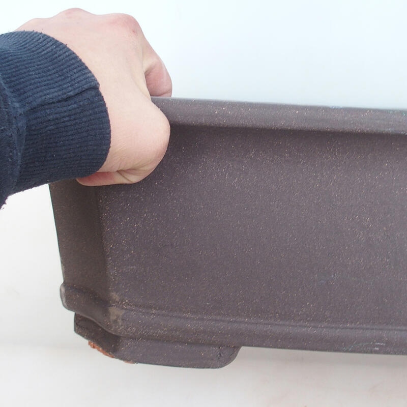 Ciotola bonsai 51 x 38 x 15 cm, colore naturale