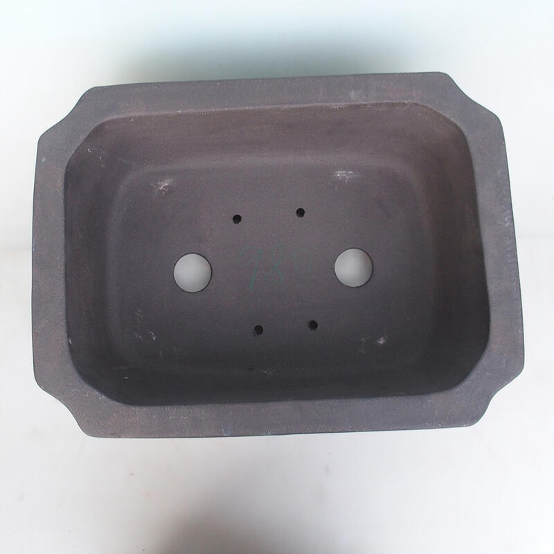 Ciotola bonsai 51 x 38 x 15 cm, colore naturale