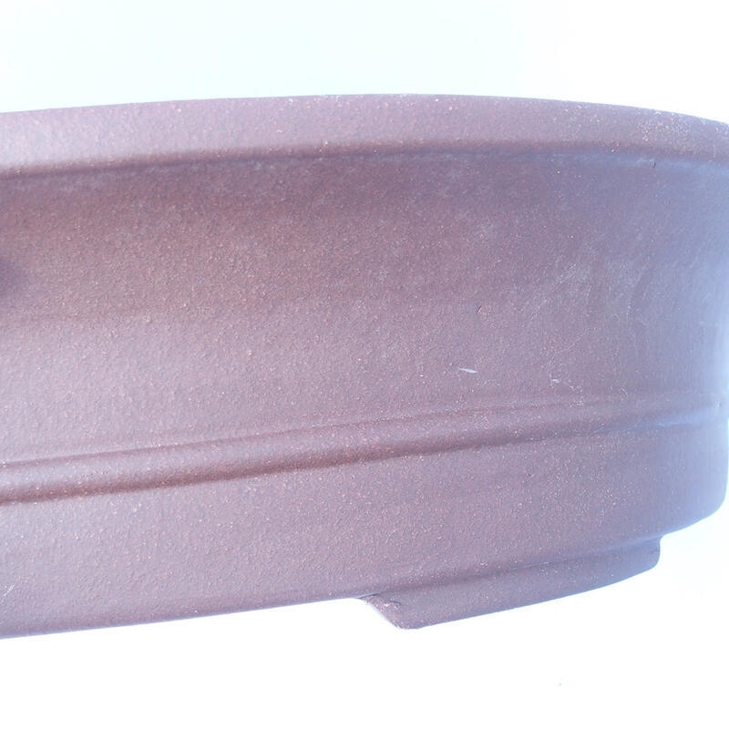 Ciotola bonsai 51 x 42 x 12 cm