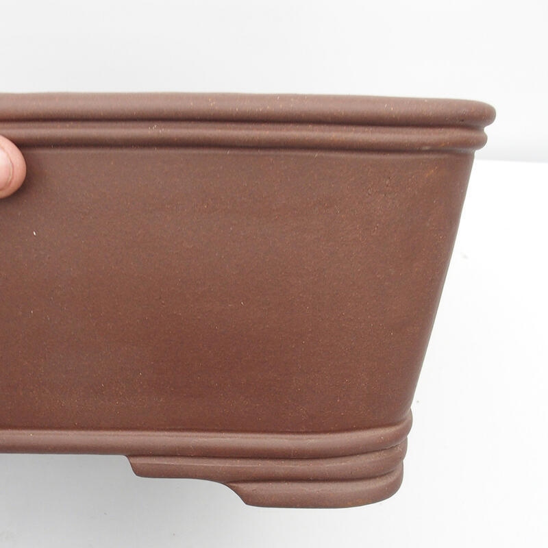 Ciotola bonsai 52 x 16 x 19 cm - Qualità giapponese