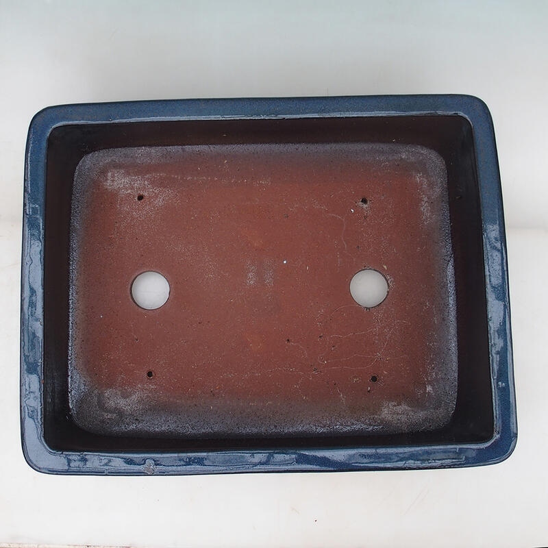 Ciotola per bonsai 52 x 41 x 15 cm, colore blu - solo trasporto su pallet