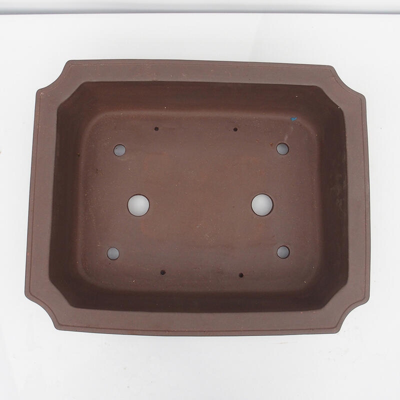 Ciotola bonsai 52 x 43 x 13 cm - Qualità giapponese