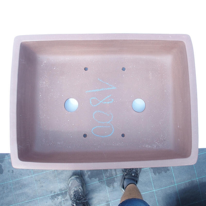 Ciotola bonsai 54 x 40 x 14 cm