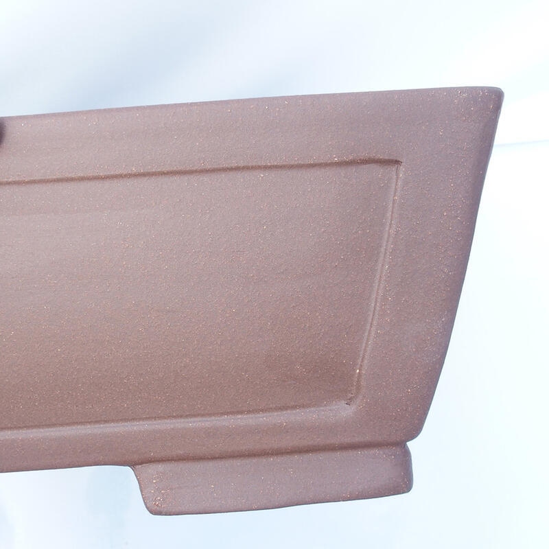 Ciotola bonsai 54 x 40 x 14 cm