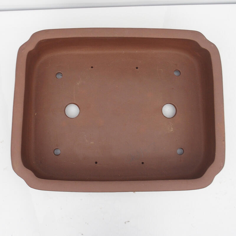 Ciotola bonsai 57 x 45 x 15 cm - Qualità giapponese