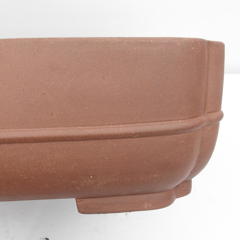 Ciotola bonsai 57 x 45 x 15 cm - Qualità giapponese