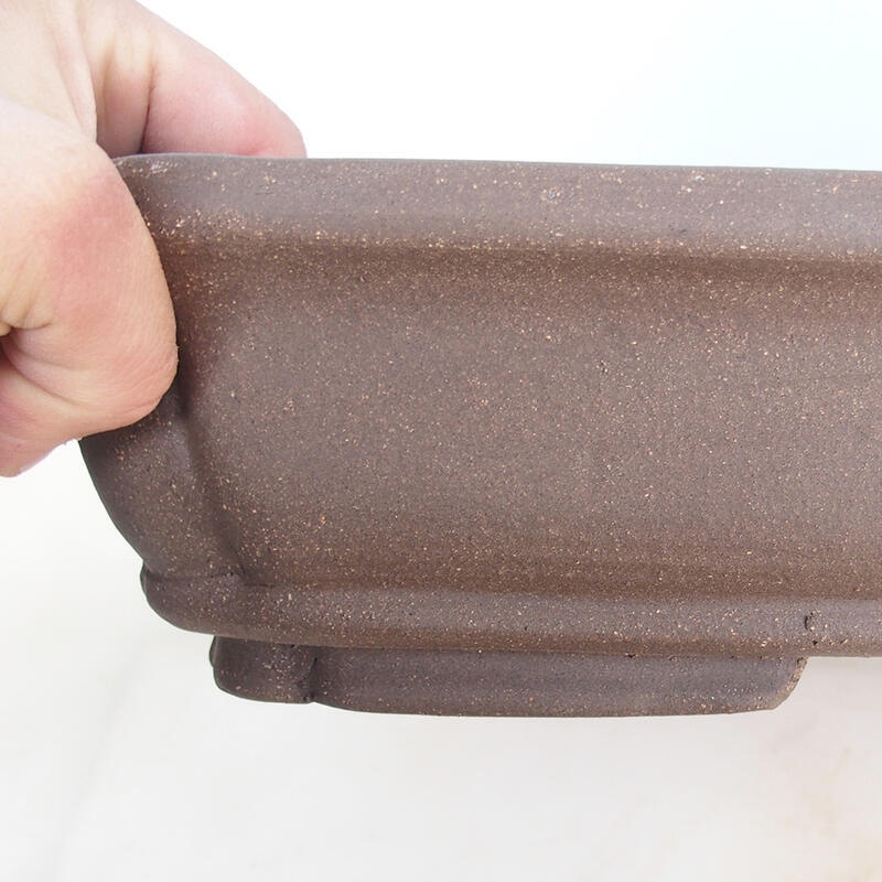 Ciotola per bonsai 60 x 42 x 8,5 cm, colore naturale