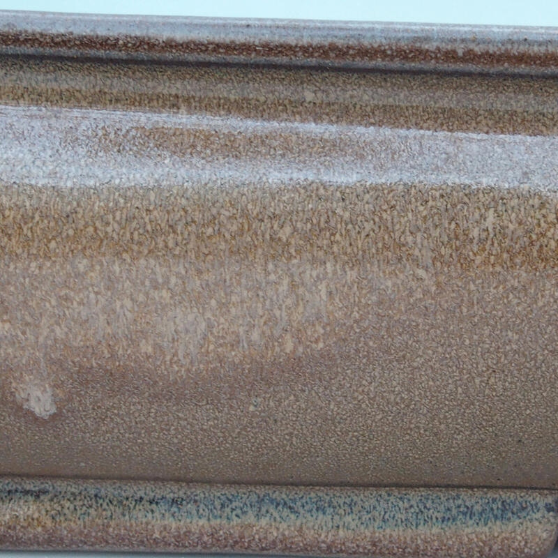 Ciotola per bonsai 61 x 41 x 11 cm, marrone - solo trasporto su pallet