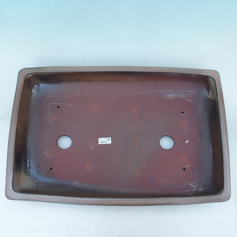 Ciotola per bonsai 61 x 41 x 11 cm, marrone - solo trasporto su pallet