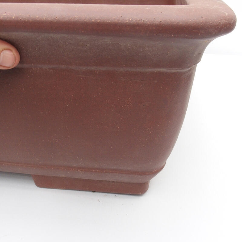 Ciotola bonsai 71 x 54 x 20 cm - Qualità giapponese